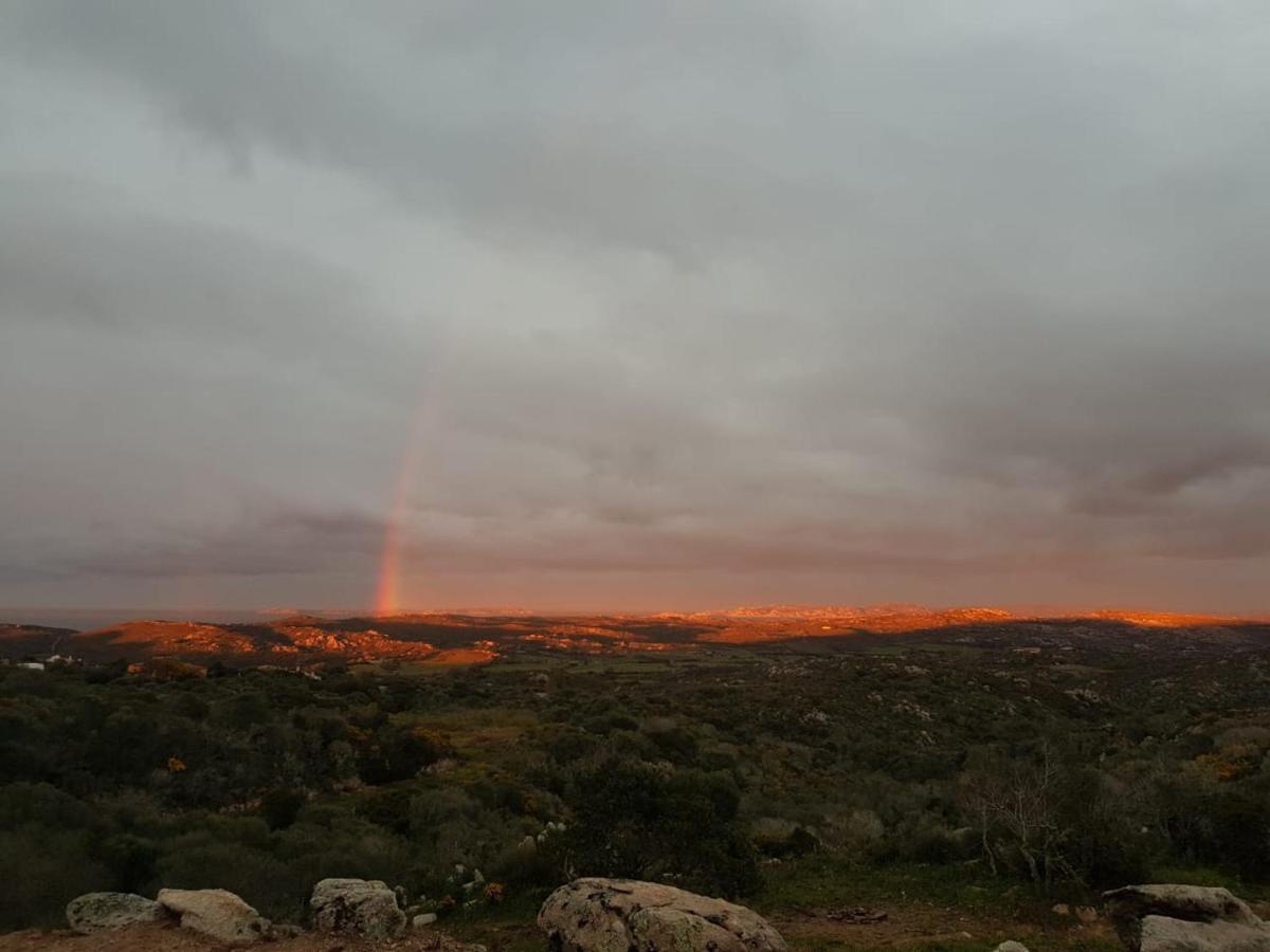 B&B Bell'Alba Santa Teresa Gallura Eksteriør bilde